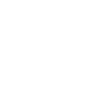 Rpv Logo White